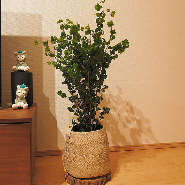 maroonさんの実例写真