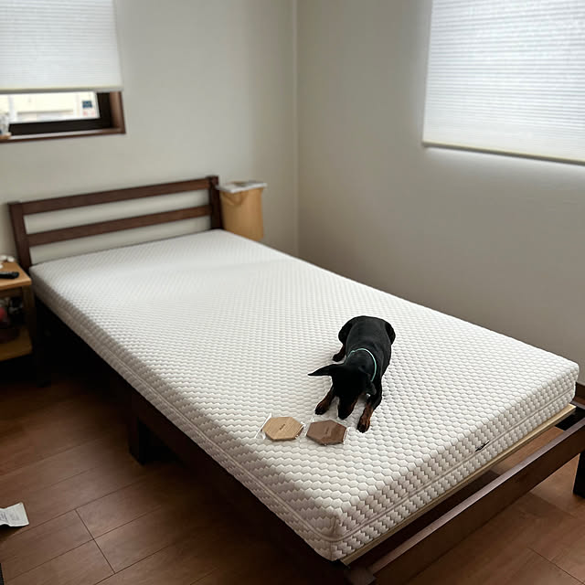 shizuponさんの部屋
