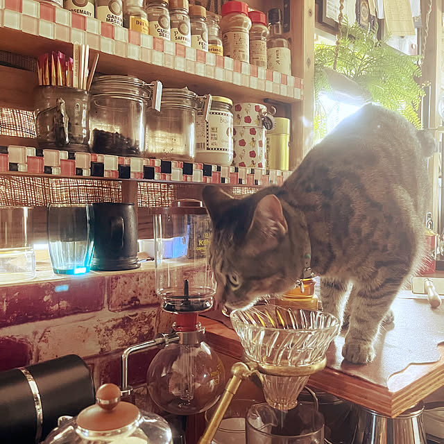 Mさんの部屋