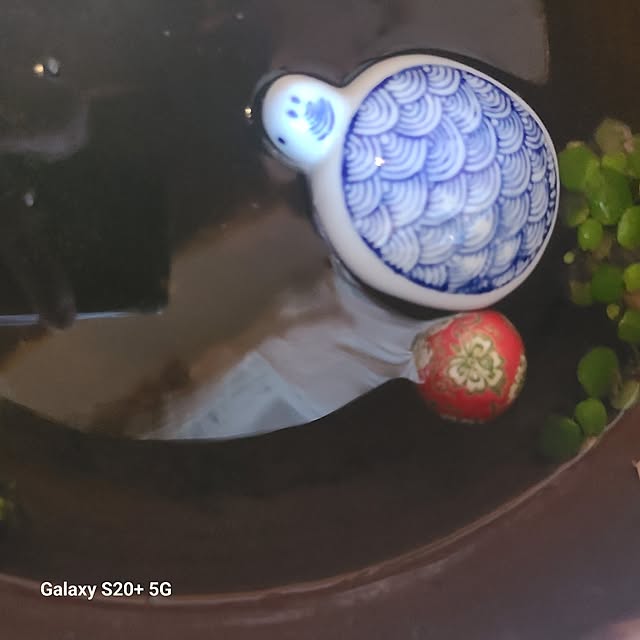 monnさんの部屋