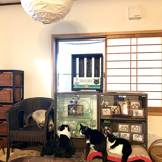 butachanさんの実例写真