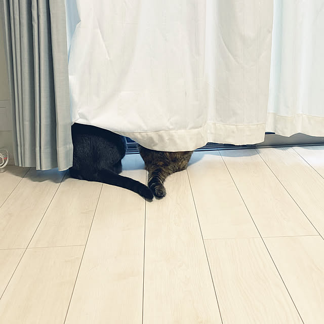 aiさんの実例写真