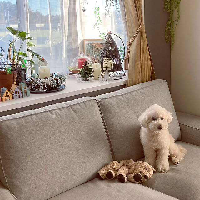 madamkaoriさんの部屋