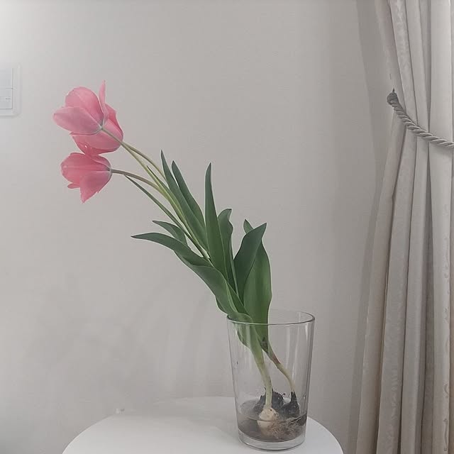 Rさんの実例写真