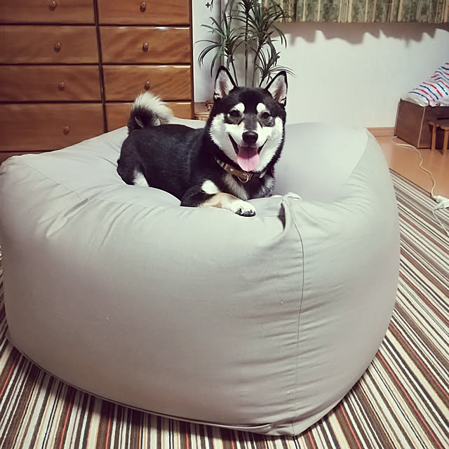 Yuzuさんの実例写真