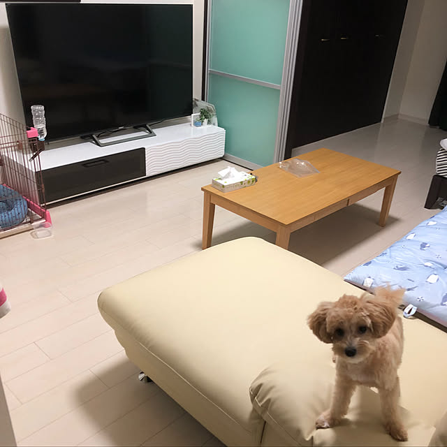 Machiさんの実例写真