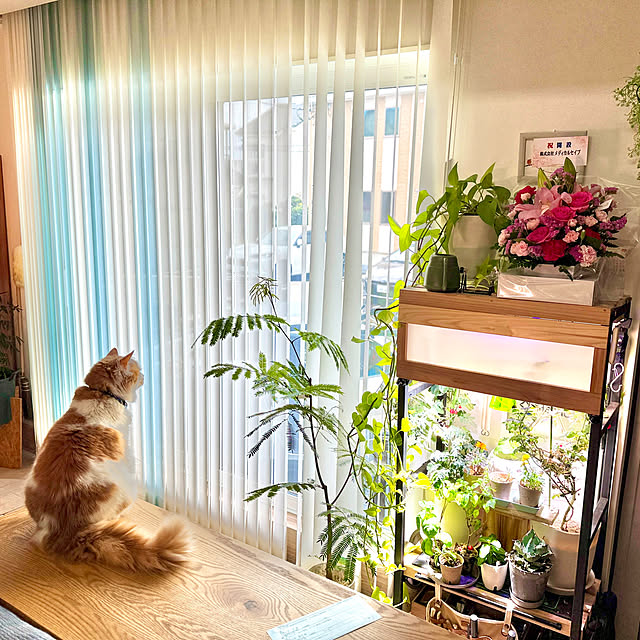 yutaさんの実例写真