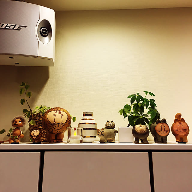 akkorosukeさんの実例写真