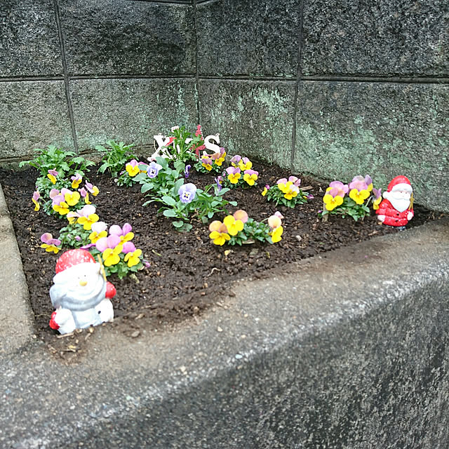 matsuyuさんの実例写真