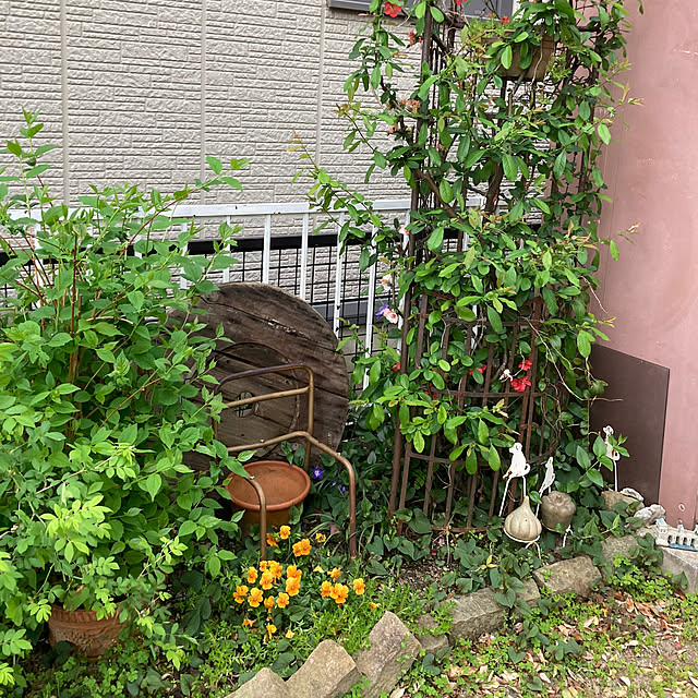 .kaka_love.さんの部屋