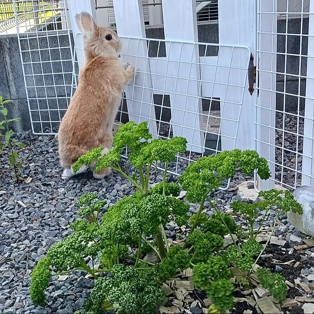 aiさんの部屋