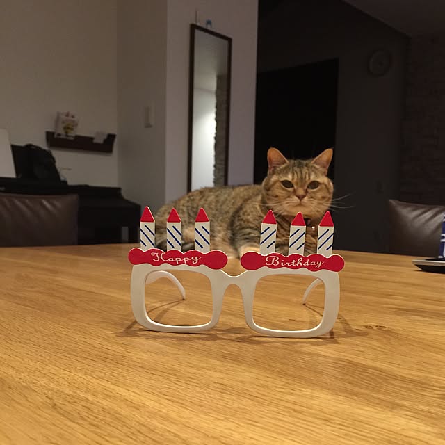 meloさんの実例写真