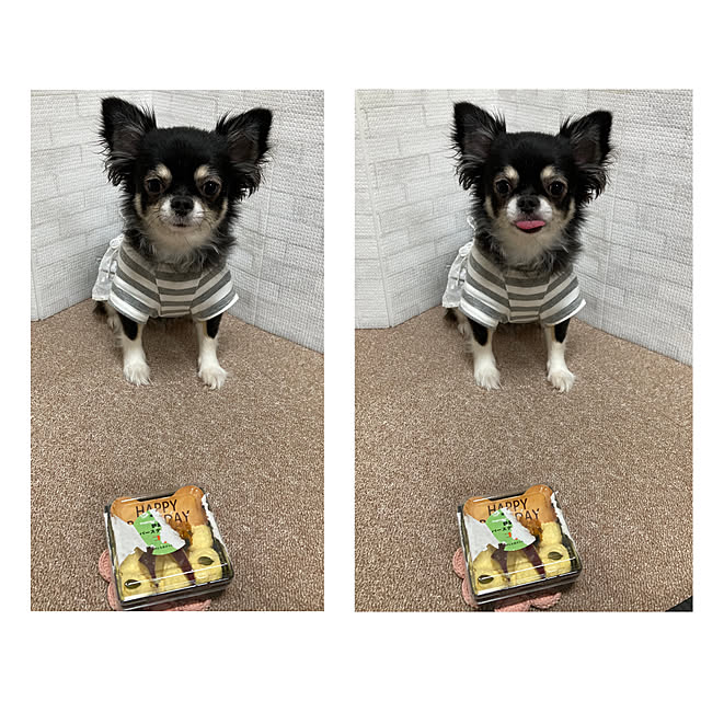 koroさんの実例写真