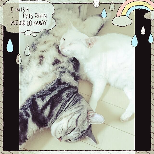 hiro_mashさんの実例写真