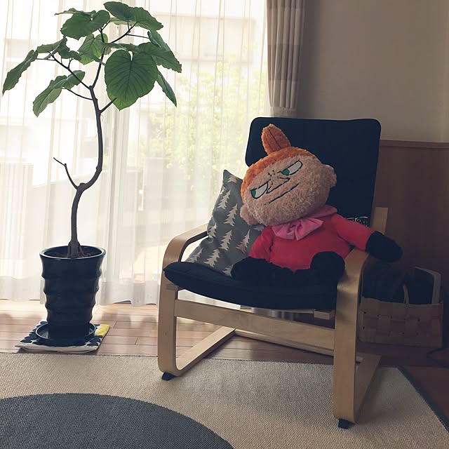 sorasoraさんの実例写真
