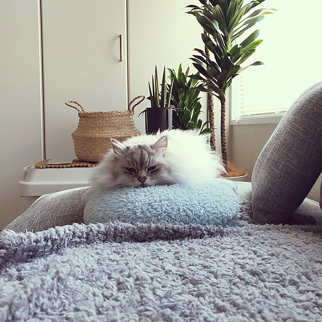 moon.mさんの実例写真