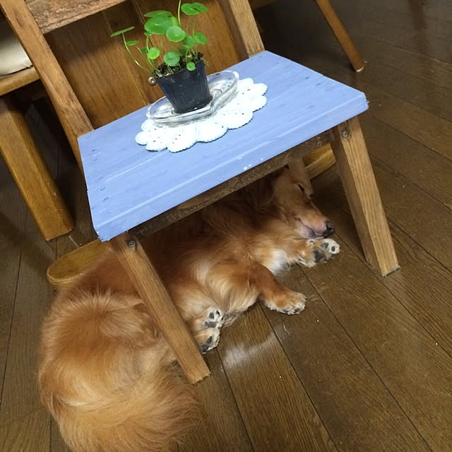 ram_mamaさんの実例写真