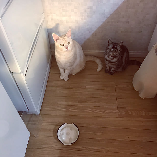 hiyupan88さんの実例写真