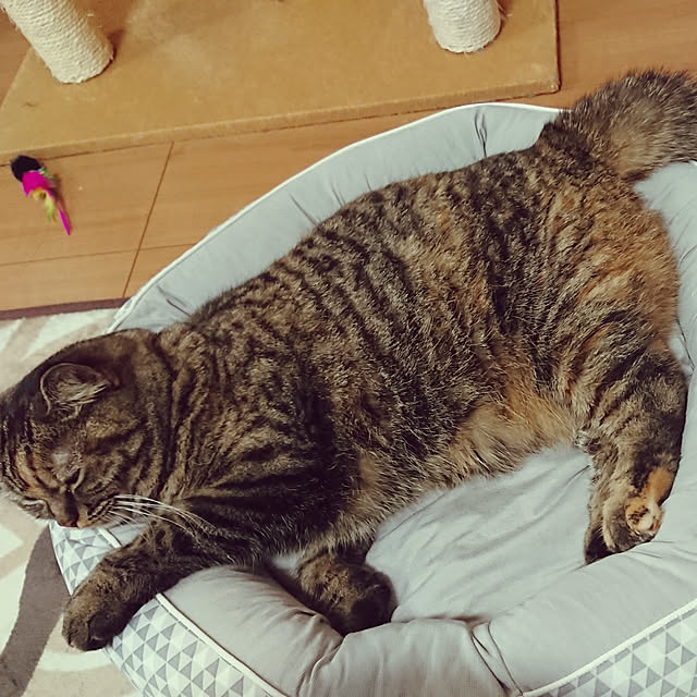 noguriさんの実例写真