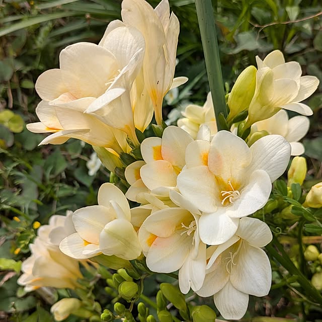 Rさんの実例写真