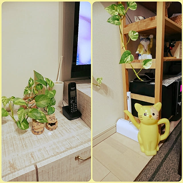 higupyonnさんの実例写真