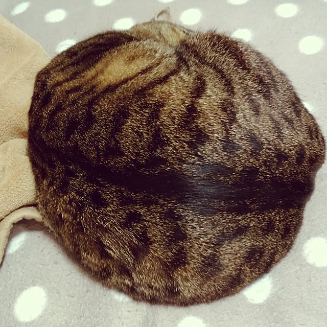 komugiさんの実例写真