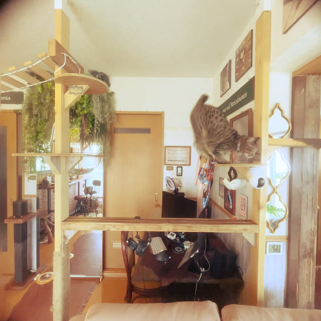 Mさんの部屋
