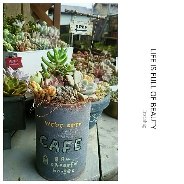 LittleMyさんの実例写真