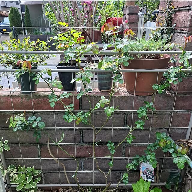 midoriさんの部屋