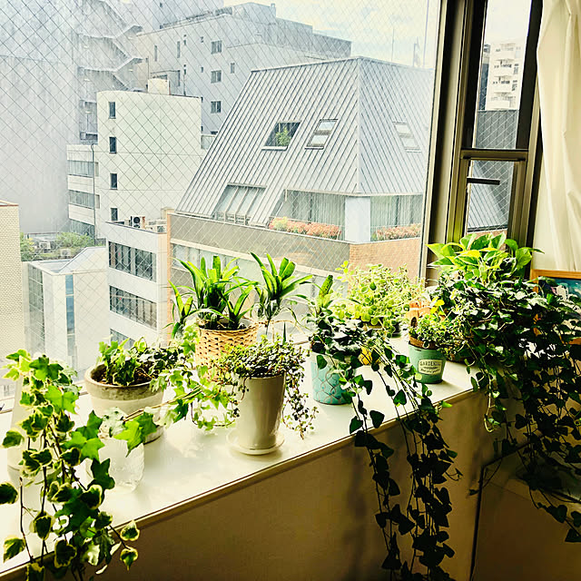 Shizukaさんの実例写真