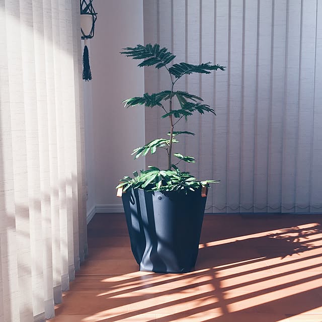 watakurumiさんの実例写真