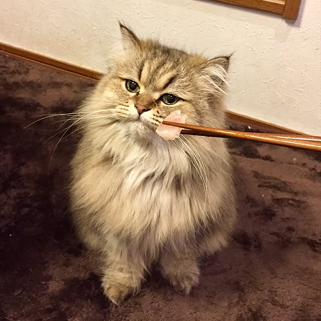 butachanさんの実例写真