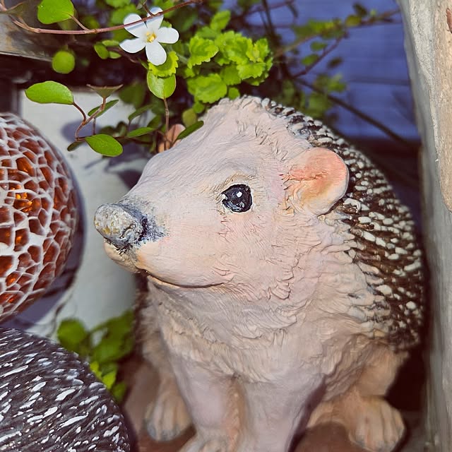 mocomocoさんの部屋