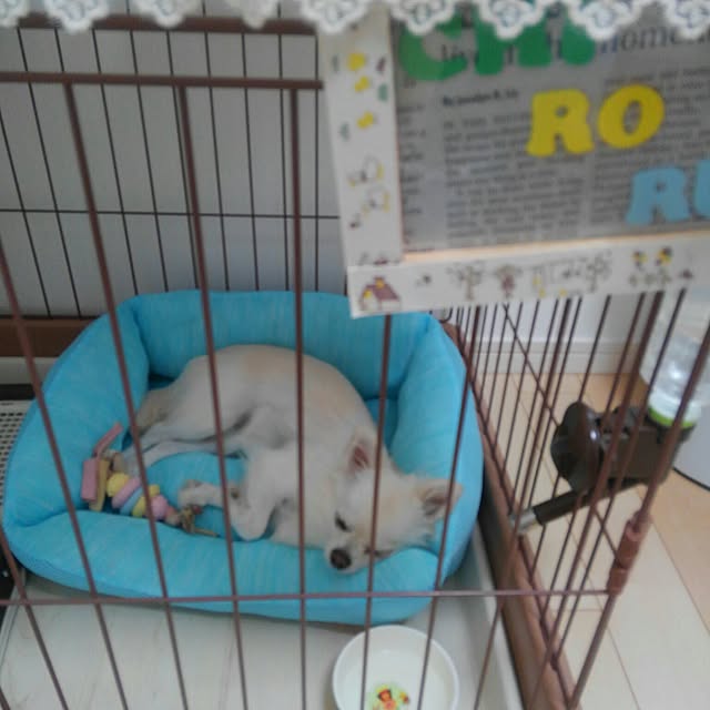 okuriさんの実例写真