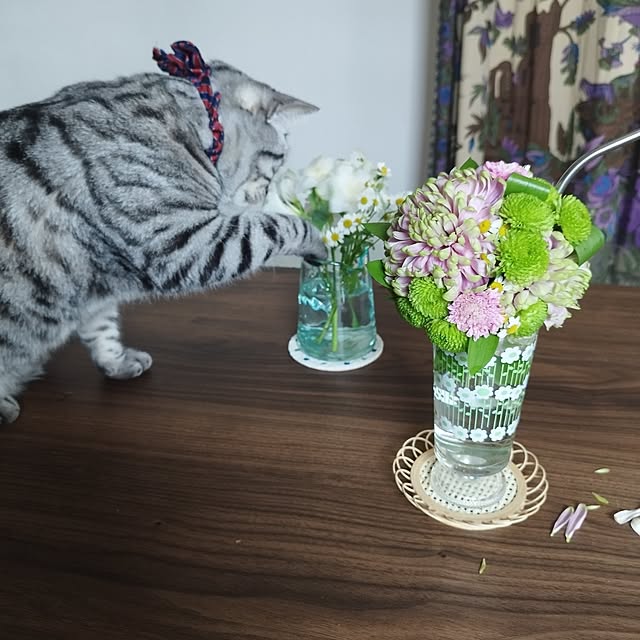 hiro3さんの部屋