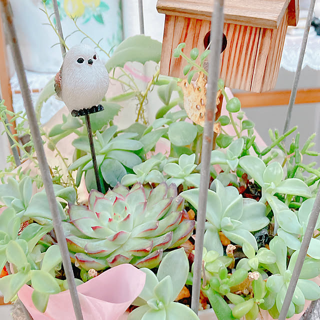 Hanakaさんの部屋