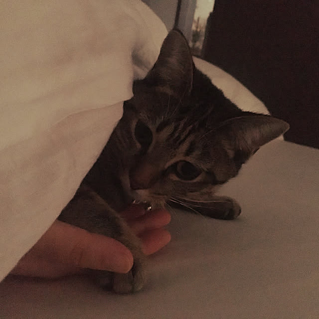 Mさんの実例写真