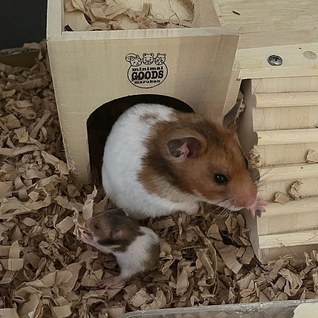 khaiさんの部屋