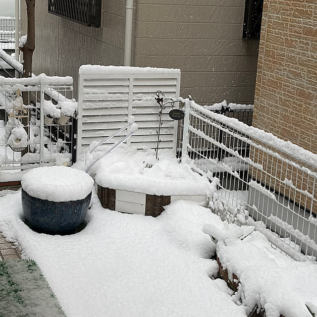 puriyuzuさんの部屋