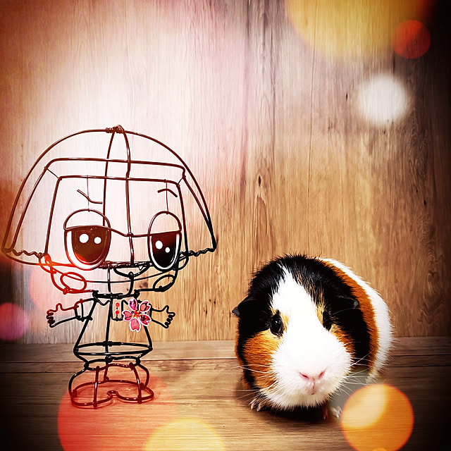 J.BOYさんの実例写真