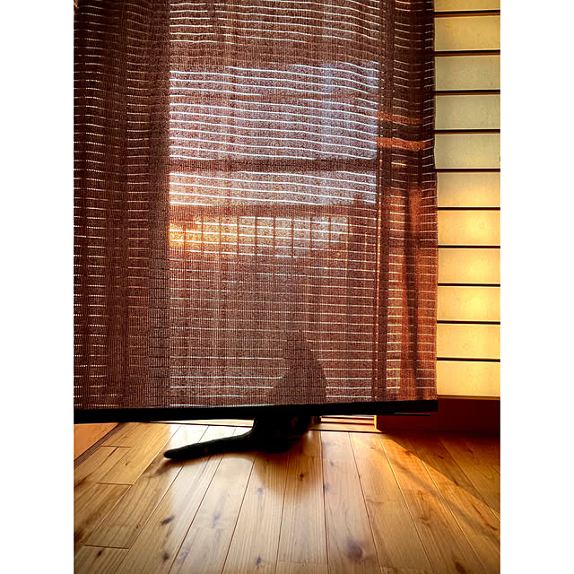 yumiさんの実例写真