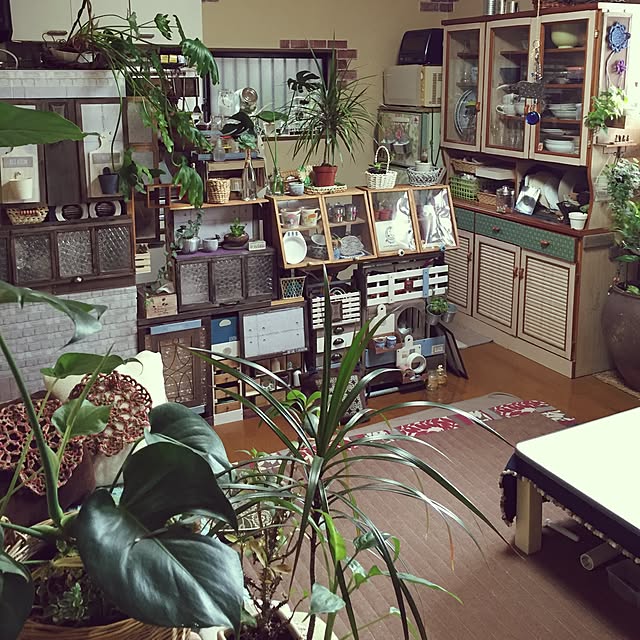 Norikoさんの実例写真