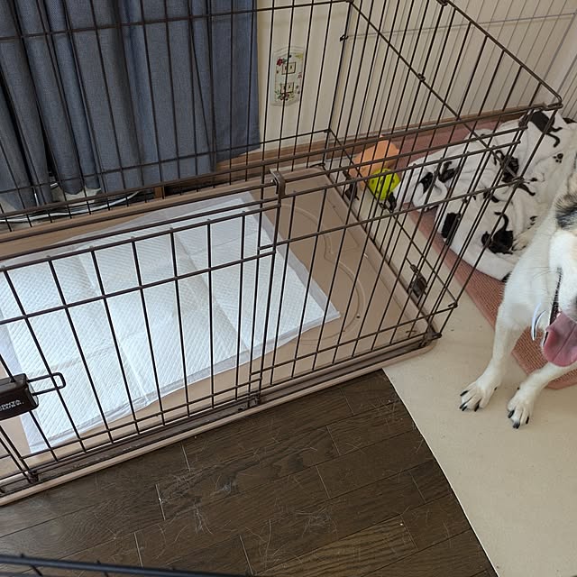 asaさんの部屋