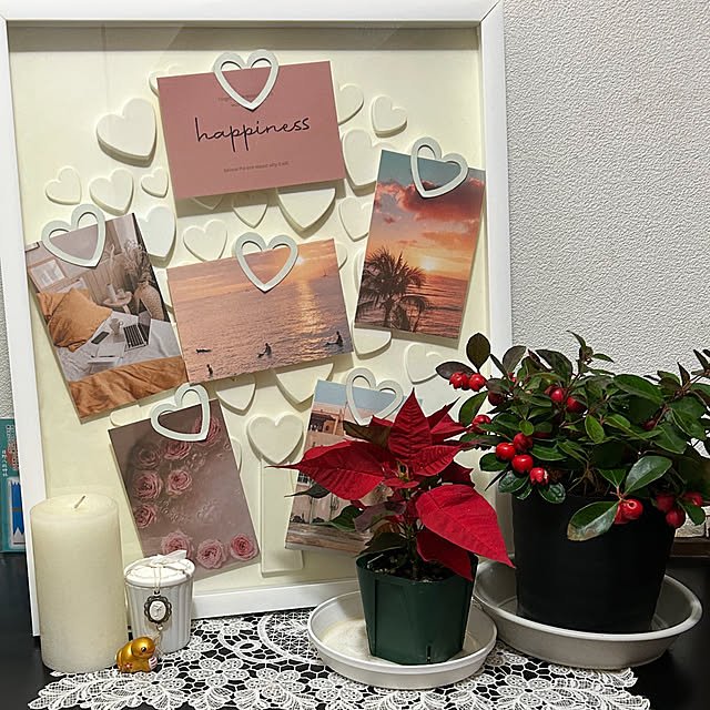 maaaさんの実例写真