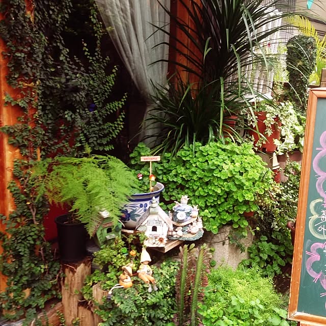バス/トイレ/植物のインテリア実例 - 2014-07-22 15:59:37
