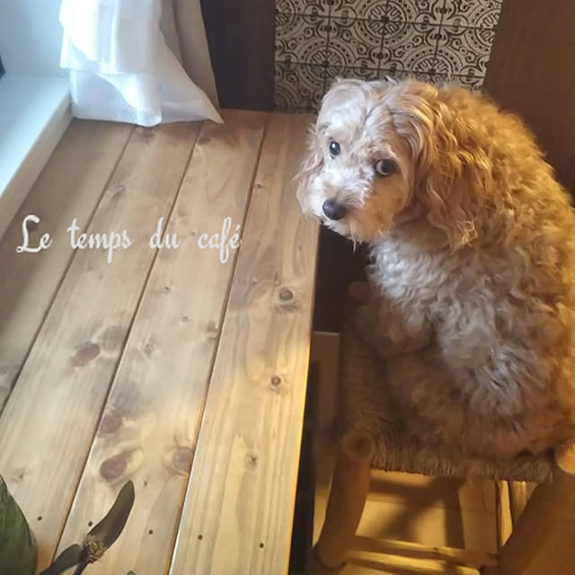 lienさんの実例写真