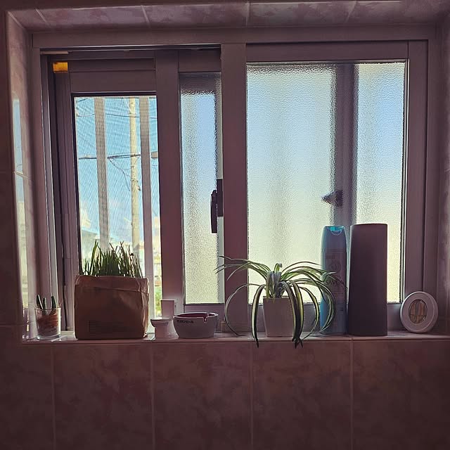 junjunさんの部屋