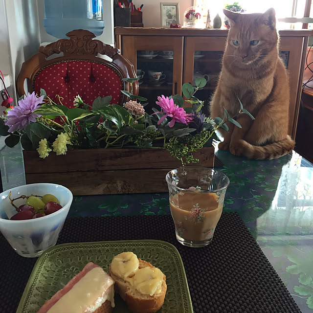 sleptcatさんの実例写真