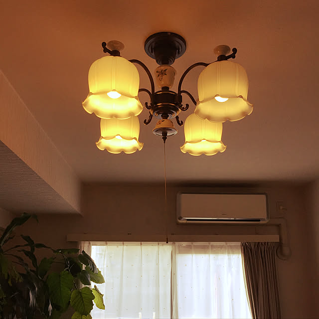実例写真