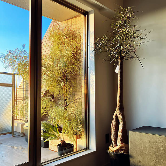 wakaさんの実例写真